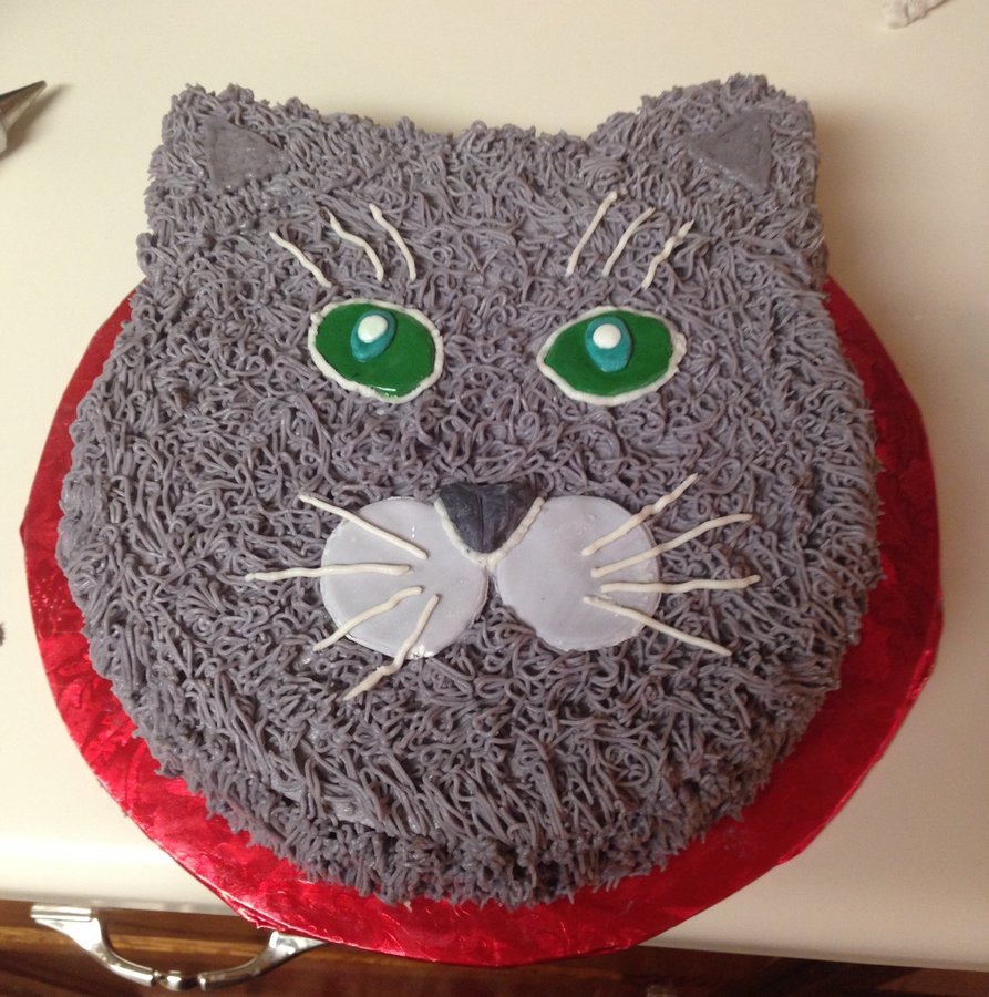 Gray kitty cat face cake with green eyes and white whiskers